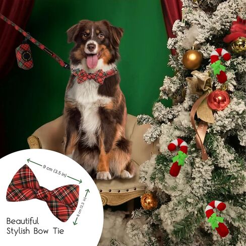 Dog Collar Leash Set - Premium Collar and Leash Combo with Stylish Bow & Poop Bag Holder - Ideal for Small, Medium & Large Dogs (M/S/L) (Large) in Saudi Arabia