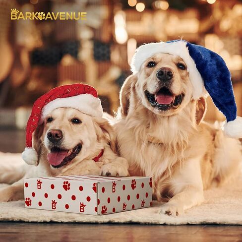 Dog Collar Leash Set - Premium Collar and Leash Combo with Stylish Bow & Poop Bag Holder - Ideal for Small, Medium & Large Dogs (M/S/L) (Large) in Saudi Arabia