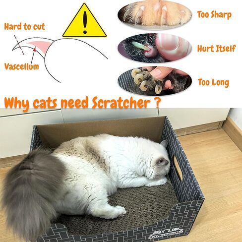 Cat Cardboard Scratcher with Extra-Large Box Bigger Space Double-Sided Scratching Refillable Pad Scratch Board Easy to Clean Scratched Lounger for Indoor Cats Weaving Patterns in Saudi Arabia