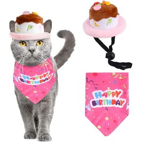 PEDOMUS Dog & Cat Birthday Hat & Bandana, Pink, Medium, Costume Accessory