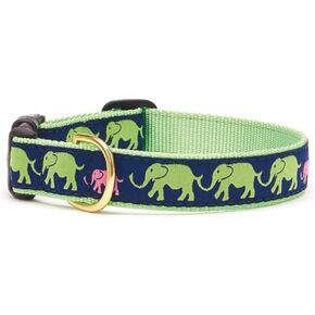 Up Country Leader of The Pach Martingale Dog Collar
