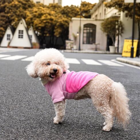 Vecomfy 2 Layers Fleece Dog Sweater with Strong Harness Built in 2 D-Rings Puppy Coat for Small Dogs,Warm Dog Jacket for Winter Cold Weather,Pink S in Kuwait