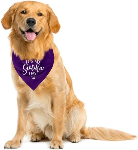 It's My Gotcha Day Dog Bandana, Blue Dog Bandana, Happy Gotcha Day, Dog Adoption Day, Pet Bandanas, Accessories for Dog Lover, Adoption Day Gifts, Pet Scarf (C56) in Saudi Arabia