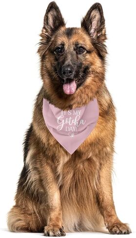 It's My Gotcha Day Dog Bandana, Blue Dog Bandana, Happy Gotcha Day, Dog Adoption Day, Pet Bandanas, Accessories for Dog Lover, Adoption Day Gifts, Pet Scarf (C56) in Saudi Arabia