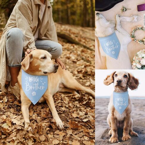 Baby Announcement Dog Bandana Big Sister to My Little Human Gender Reveal Dog Bandana Pet Dog Triangle Scarf Pregnancy Announcement Photo Props Dog Scarf for Large Medium Small Dogs in Saudi Arabia