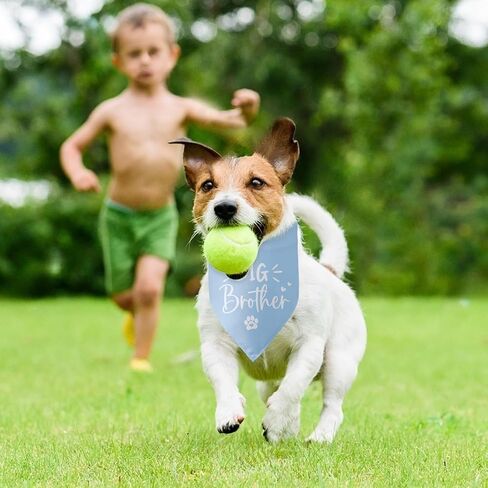 Baby Announcement Dog Bandana Big Sister to My Little Human Gender Reveal Dog Bandana Pet Dog Triangle Scarf Pregnancy Announcement Photo Props Dog Scarf for Large Medium Small Dogs in Saudi Arabia