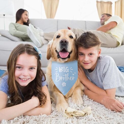 Baby Announcement Dog Bandana Big Sister to My Little Human Gender Reveal Dog Bandana Pet Dog Triangle Scarf Pregnancy Announcement Photo Props Dog Scarf for Large Medium Small Dogs in Saudi Arabia