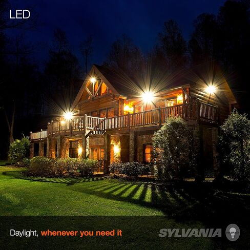 SYLVANIA Night Chaser LED BR30 Light Bulb, 100W = 15.5W, Damp Rated, 1450 Lumens, 5000K, Daylight – 1 Pack (41105) in Saudi Arabia