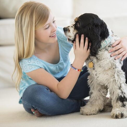 Dog Memorial Gifts for Loss of Dog, Pet Memorial Gifts for Dogs, Dog Passing Away Sympathy Gift, Rainbow Bridge Pet Memorial Bracelet for Men Women Who Loss of Dog Cat, Loss of Dog Sympathy Gift in Saudi Arabia