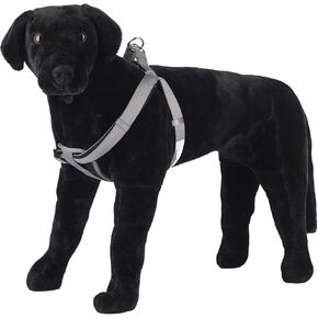 Comfort Chest Pad Cushion No Pull Step-in Easy Lead Dog Harness, Assorted Colors, Medium 5/8in x 14-20in