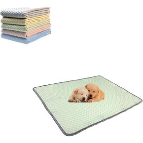 Pet Mats for Floor, Small 22x28 Washable Breathable Crate Pad for Indoor Outdoor Dog Cat Puppy Cages Car Seats Sofa Bed Cover Green 1Pack
