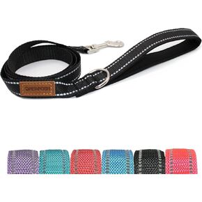 Pet & Posh Reflective Dog Leash - Premium Neoprene Padded Leash, Adjustable & Breathable Nylon for Safety and Style (Teal, 6 ft Narrow)