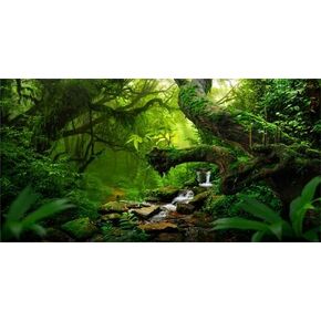 48X24IN Tropical Forest Green Huge Tree Reptile Habitat Aquarium Background, Green Natural Landscape Rainforest Fish Tank Decorations Background, Nature Art Terrarium Background