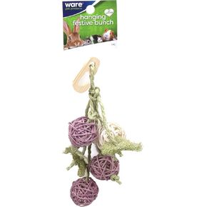 Hanging Festive Bunch Chew Toy for Small Animals