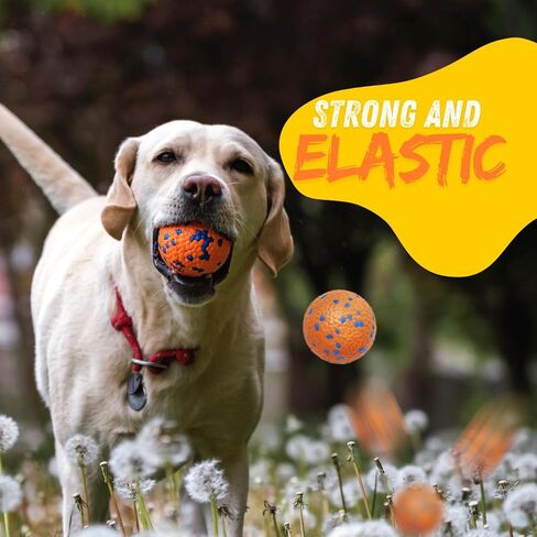 Tough Dog Toys for Aggressive Chewers & Teething Puppies, Bouncy Balls for Medium Dogs, Durable Pet Toys, Floating Dog Balls for Water Play (Orange-Blue-Set) in Kuwait