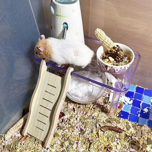 Hamster Platform Acrylic Small Animal Play Activity Resting Stand Climbing Cage Toy with Ladder for Dwarf Syrian Hamsters Gerbils Mice Sugar Glider in Kuwait
