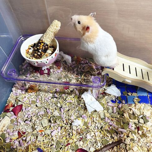 Hamster Platform Acrylic Small Animal Play Activity Resting Stand Climbing Cage Toy with Ladder for Dwarf Syrian Hamsters Gerbils Mice Sugar Glider in Kuwait