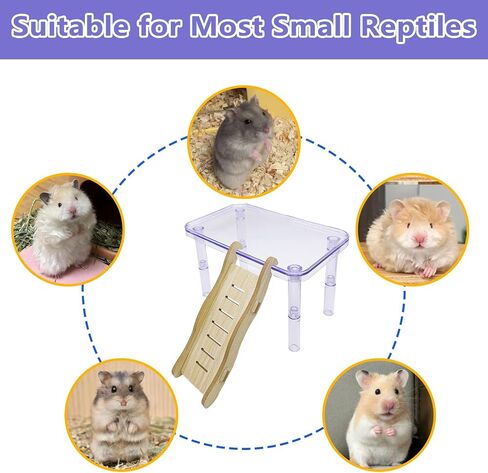 Hamster Platform Acrylic Small Animal Play Activity Resting Stand Climbing Cage Toy with Ladder for Dwarf Syrian Hamsters Gerbils Mice Sugar Glider in Kuwait