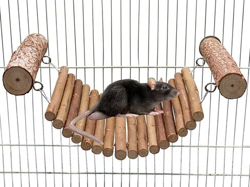 لعبة جسر سلم الفئران، جسر تعليق هامستر من الخشب الطبيعي، لعبة جسر سلم الببغاء، ألعاب تسلق شينشيلا، ملحقات قفص الحيوانات الصغيرة، مناسبة لببغاء الفئران الهامستر خنزير غينيا in Kuwait