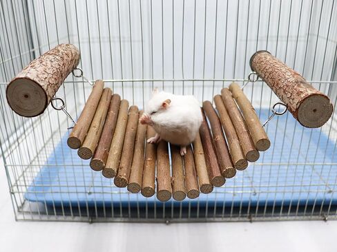 لعبة جسر سلم الفئران، جسر تعليق هامستر من الخشب الطبيعي، لعبة جسر سلم الببغاء، ألعاب تسلق شينشيلا، ملحقات قفص الحيوانات الصغيرة، مناسبة لببغاء الفئران الهامستر خنزير غينيا in Kuwait