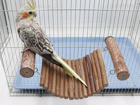 لعبة جسر سلم الفئران، جسر تعليق هامستر من الخشب الطبيعي، لعبة جسر سلم الببغاء، ألعاب تسلق شينشيلا، ملحقات قفص الحيوانات الصغيرة، مناسبة لببغاء الفئران الهامستر خنزير غينيا in Kuwait