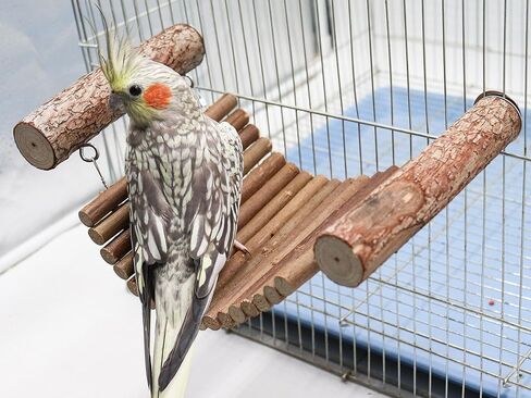 لعبة جسر سلم الفئران، جسر تعليق هامستر من الخشب الطبيعي، لعبة جسر سلم الببغاء، ألعاب تسلق شينشيلا، ملحقات قفص الحيوانات الصغيرة، مناسبة لببغاء الفئران الهامستر خنزير غينيا in Kuwait