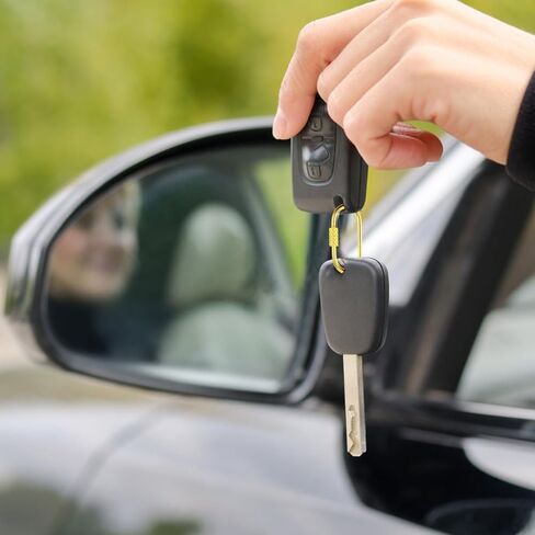 4 حزمة حلقة تسلق صغيرة للمفاتيح سلسلة المفاتيح كليب قلادة مجوهرات رابط مشبك برغي قفل كليب البيضاوي قفل حامل بسيط المشبك الفولاذ المقاوم للصدأ المسمار قفل سلسلة المفاتيح الذهب معدن سلسلة المفاتيح كليب هوك in Kuwait