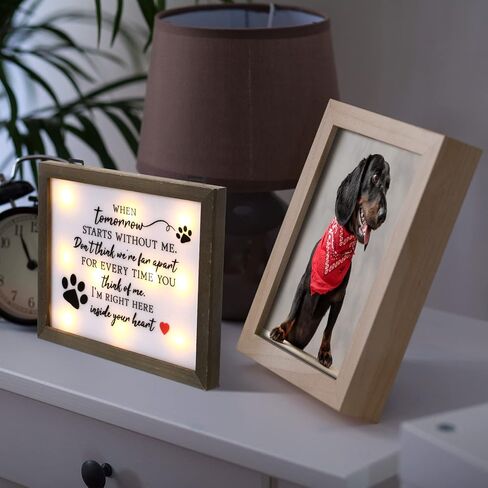 هدية تعاطف الكلب مقاس 8 بوصات × 10 بوصات LED صندوق ظلال تذكاري تذكاري هدايا الفجيعة هدايا تذكارية للحيوانات الأليفة مع مشاعر صادقة مريحة لفقدان الكلب أو القط المحبوب in Kuwait