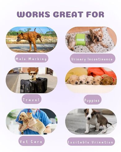 Dog Diapers Male Disposable Dog Wraps Super Absorbent 48 Count Size S (Waist 15"- 18") Ultra Protection Breathable Leakproof| Excitable Urination Marking in Saudi Arabia