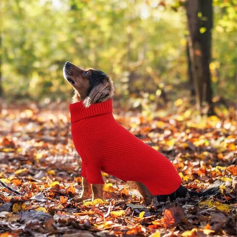 Geyecete Dachshund Sweater Dog Turtleneck Sweater,Cold Weather Cable Knitwear Small Dog Pullover Sweater Dog Winter Clothes for Small Dogs-Red-XL in Kuwait