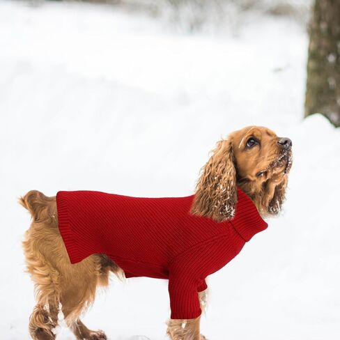 Geyecete Dachshund Sweater Dog Turtleneck Sweater,Cold Weather Cable Knitwear Small Dog Pullover Sweater Dog Winter Clothes for Small Dogs-Red-XL in Kuwait