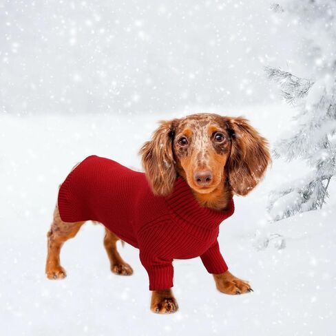 Geyecete Dachshund Sweater Dog Turtleneck Sweater,Cold Weather Cable Knitwear Small Dog Pullover Sweater Dog Winter Clothes for Small Dogs-Red-XL in Kuwait