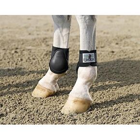 Horse Ankle BootsQ