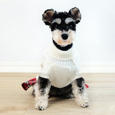 Tangpan Classic Cable Turtleneck Dog Sweater with Bow-Knot Pet Plaid Skirt Warm Apparel Puppy Clothes Cat Outfit （Red,M in Kuwait