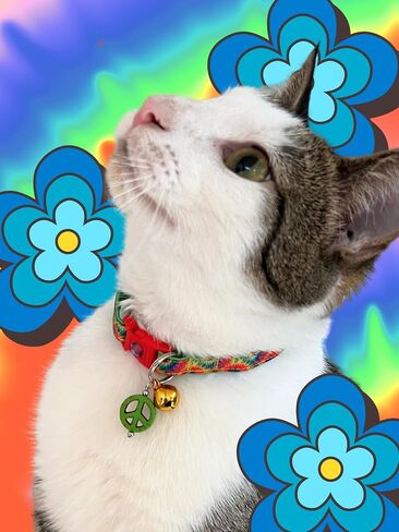 Tie Dye Cat Collar with Bell | Safety Breakaway Collar | Adjustable Large Size or Kitten Collar (Small(10lbs & Less), Warm Tie Dye) in Saudi Arabia