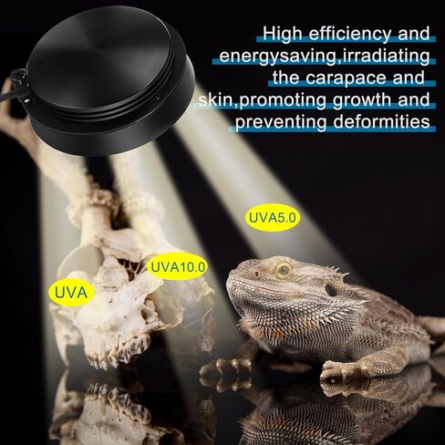 retisee 2 جهاز كمبيوتر شخصى ضوء الأشعة فوق البنفسجية للزواحف UVA UVB ضوء الزواحف مع باهتة ومؤقت LED UVB ضوء لمبة لاعبا اساسيا ضوء الزواحف التنين الملتحي السلاحف أبو بريص العناكب سحلية ثعبان مصباح in Kuwait