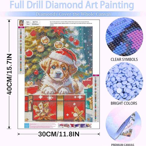 Christmas Diamond Art Kits for Adults-Christmas Gnome Adult Diamond Painting Kits,Christmas Gem Art for Adults for Gift and Home Decoration(12x16inch) in Kuwait