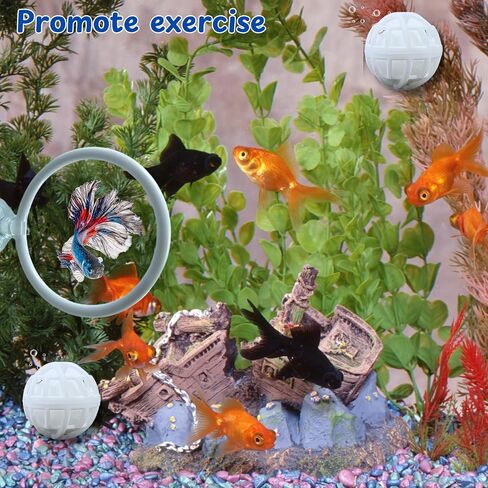 Betta Fish Exercise Ring and Filter Balls Set, Betta Ring Training Loop with Suction Cup and Nitrifying Ball, Betta Enrichment Toys, Aquarium Toys for Fish Turtle Tank Small Fish Tank (White, M-73mm) in Saudi Arabia