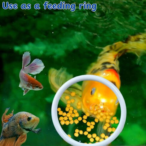 Betta Fish Exercise Ring and Filter Balls Set, Betta Ring Training Loop with Suction Cup and Nitrifying Ball, Betta Enrichment Toys, Aquarium Toys for Fish Turtle Tank Small Fish Tank (White, M-73mm) in Saudi Arabia
