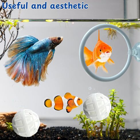 Betta Fish Exercise Ring and Filter Balls Set, Betta Ring Training Loop with Suction Cup and Nitrifying Ball, Betta Enrichment Toys, Aquarium Toys for Fish Turtle Tank Small Fish Tank (White, M-73mm) in Saudi Arabia