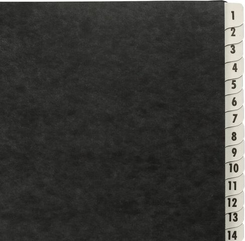 Amazon Basics 1-31 فارز الملفات المكتبية اليومية، حجم الحروف، أسود in Kuwait