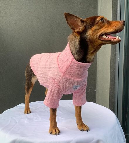 YQYS Dog Turtleneck Sweaters Pullover Sweater for Small Dogs and Kitten Thick Warm Cute Cat Sweater Teacup Dog Clothing Puppy Clothes Ropa para Perro Pink Small in Saudi Arabia