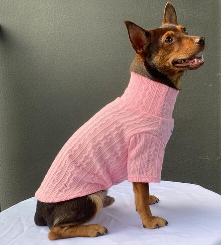 YQYS Dog Turtleneck Sweaters Pullover Sweater for Small Dogs and Kitten Thick Warm Cute Cat Sweater Teacup Dog Clothing Puppy Clothes Ropa para Perro Pink Small in Saudi Arabia