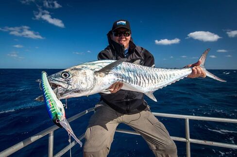 Nomad Design DTX Minnow Sinking Lure - Black Pink Mackerel 220mm in Saudi Arabia