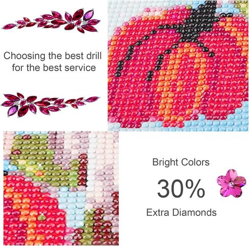 MEIYUDA Diamond Painting Kits for Adults,5D DIY Hummingbird Diamond Art Kits,Diamond Painting Kits for Adults Beginners Animal,Full Drill Gem Art and Crafts for Home Wall Decor Gift 12 X16 Inch,Birds in Saudi Arabia