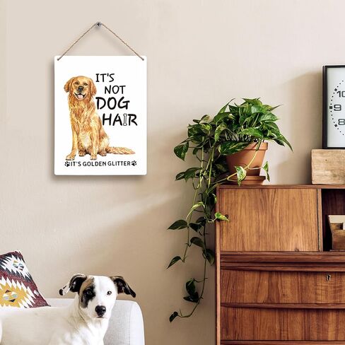 FUGWN It's Not Cat Hair It's Kitty Glitter Cat علامات خشبية 8x10، ديكور جدار القط، ديكور غرفة المنزل القط الأسود، ديكورات القط للمنزل، علامات القط ديكور المنزل، هدايا القط لمحبي القطط in Kuwait