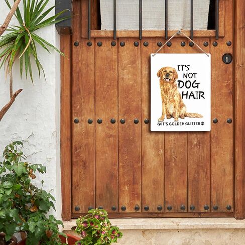 FUGWN It's Not Cat Hair It's Kitty Glitter Cat علامات خشبية 8x10، ديكور جدار القط، ديكور غرفة المنزل القط الأسود، ديكورات القط للمنزل، علامات القط ديكور المنزل، هدايا القط لمحبي القطط in Kuwait