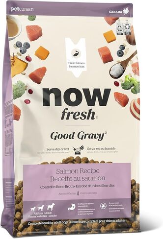 Now Fresh Good Gravy, Bone Broth Coated Kibble, Dry Dog Food, Salmon Adult Recipe with Grains, All Breed Size, 3.5 lb Bag in Saudi Arabia