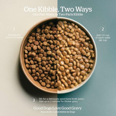 Now Fresh Good Gravy, Bone Broth Coated Kibble, Dry Dog Food, Salmon Adult Recipe with Grains, All Breed Size, 3.5 lb Bag in Saudi Arabia
