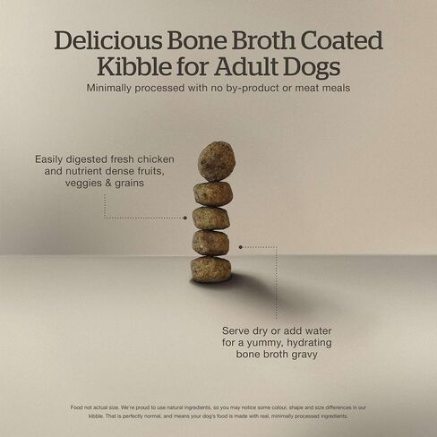 Now Fresh Good Gravy, Bone Broth Coated Kibble, Dry Dog Food, Salmon Adult Recipe with Grains, All Breed Size, 3.5 lb Bag in Saudi Arabia